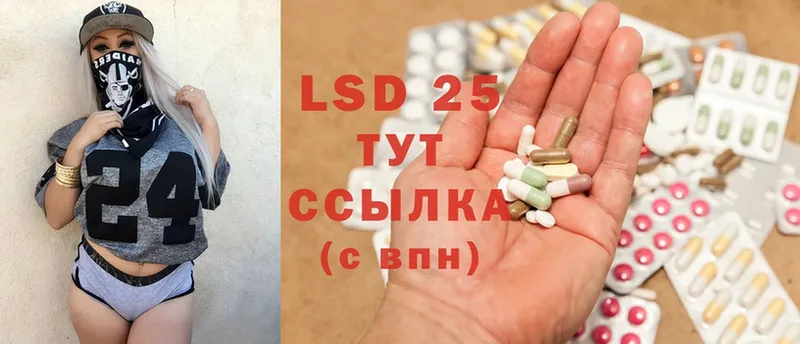 как найти закладки  Ефремов  LSD-25 экстази ecstasy 